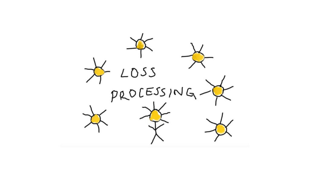 Loss Processing